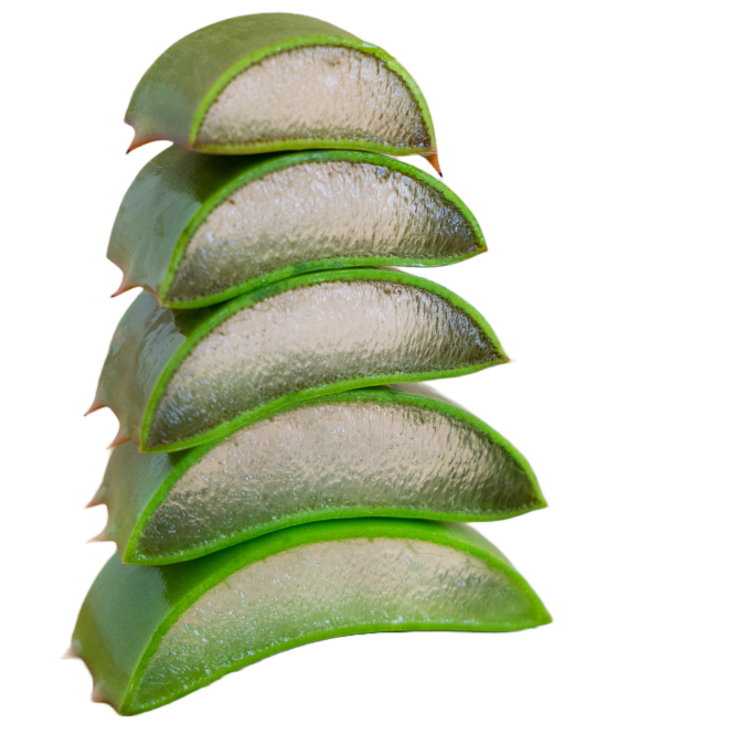 Aloe Vera leaf