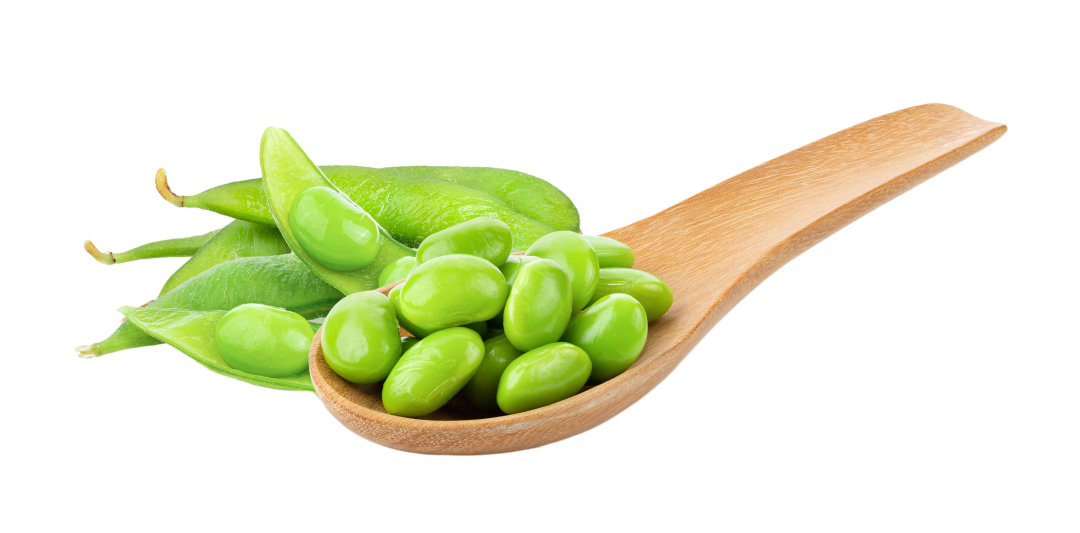 Green soy beans on spoon
